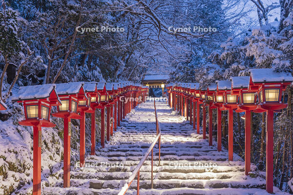 雪の貴船神社参道ライトアップ [MOP110102058]