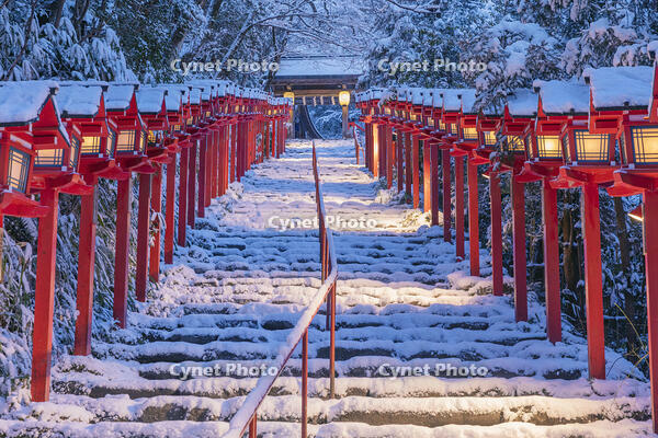 雪の貴船神社参道ライトアップ [MOP110102060]