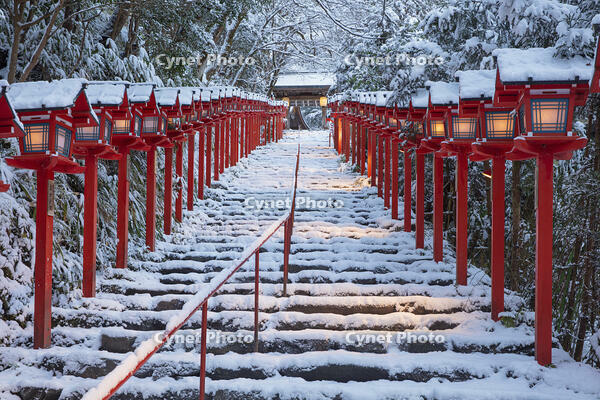 雪の貴船神社参道朝景 [MOP110102064]