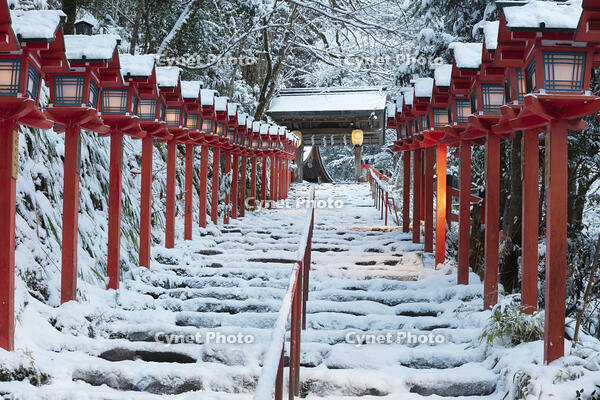 雪の貴船神社参道朝景 [MOP110102065]