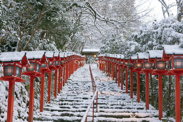 雪の貴船神社参道 [MOP110102069]