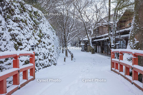 雪の未明橋と三千院参道　大原 [MOP110102075]