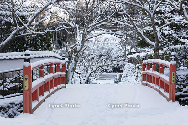 雪の未明橋と勝林院　大原 [MOP110102079]