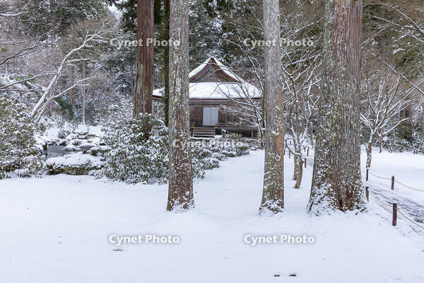 雪の三千院　有清園と往生極楽院　大原 [MOP110102080]
