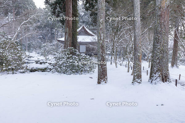 雪の三千院　有清園と往生極楽院　大原 [MOP110102081]