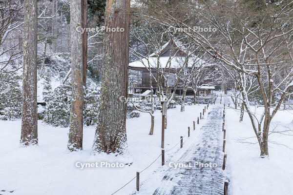 雪の三千院　有清園と往生極楽院　大原 [MOP110102083]