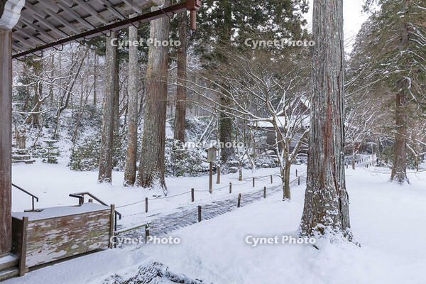 雪の三千院　有清園と往生極楽院　大原 [MOP110102084]