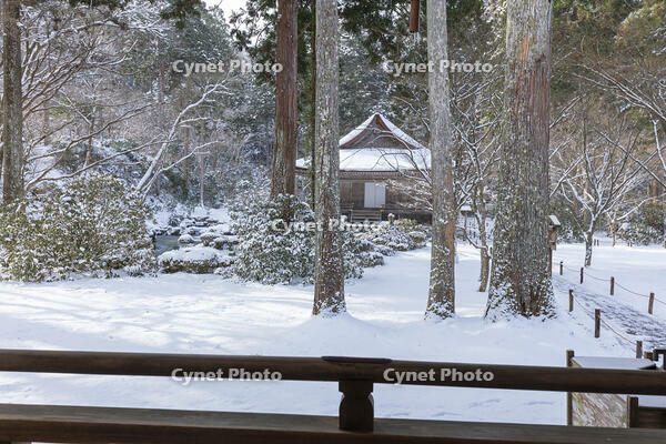 雪の三千院　有清園と往生極楽院　大原 [MOP110102085]
