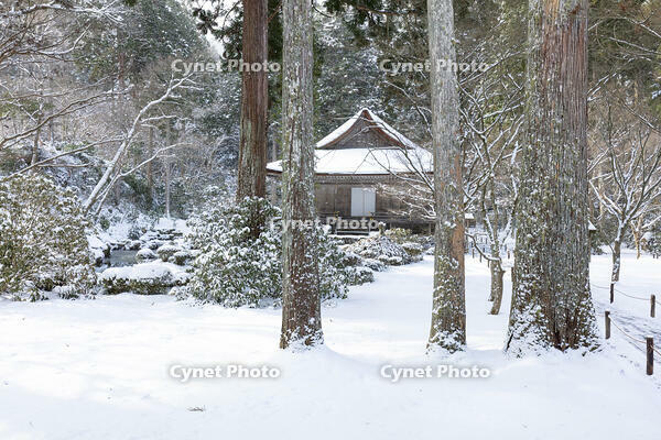 雪の三千院　有清園と往生極楽院　大原 [MOP110102086]
