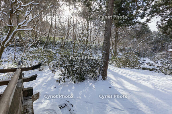 雪の三千院　有清園　大原 [MOP110102087]