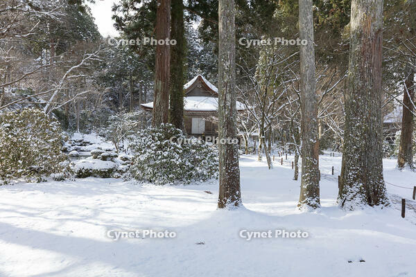雪の三千院　有清園と往生極楽院　大原 [MOP110102088]