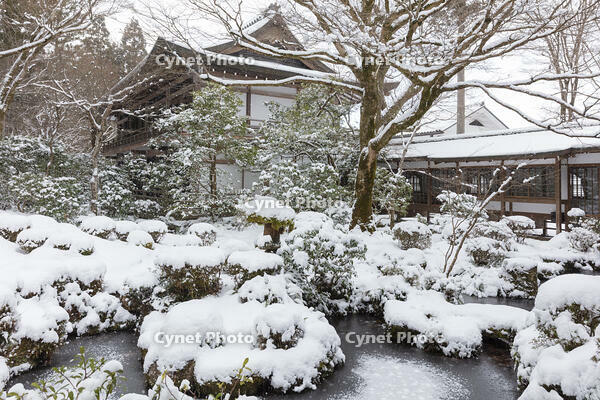 雪の三千院　聚碧園　大原 [MOP110102090]