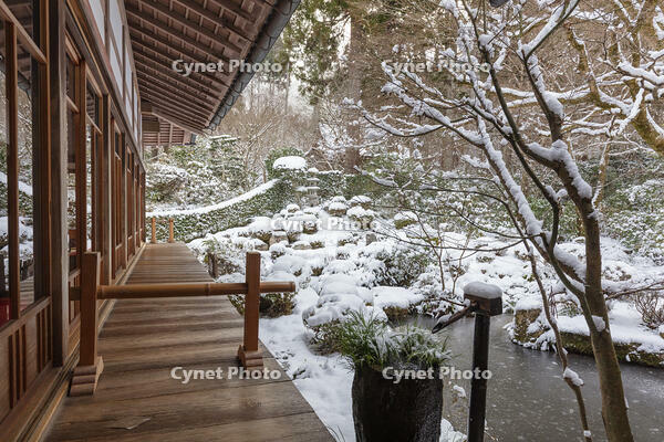 雪の三千院　聚碧園　大原 [MOP110102092]