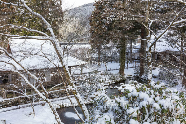 雪の三千院　有清園　往生極楽院と宸殿　大原 [MOP110102096]