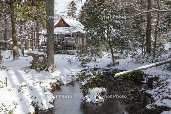 雪の三千院　有清園　往生極楽院　大原 [MOP110102097]