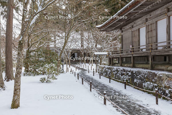 雪の三千院　有清園　往生極楽院と宸殿　大原 [MOP110102098]