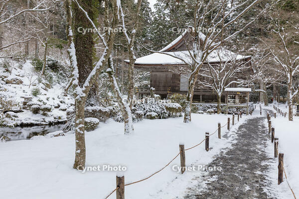 雪の三千院　有清園　往生極楽院　大原 [MOP110102099]