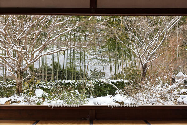 雪の宝泉院庭園　大原 [MOP110102101]