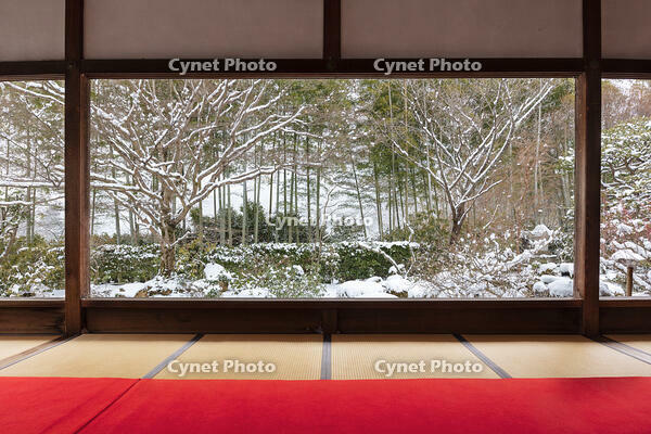 雪の宝泉院庭園　大原 [MOP110102102]