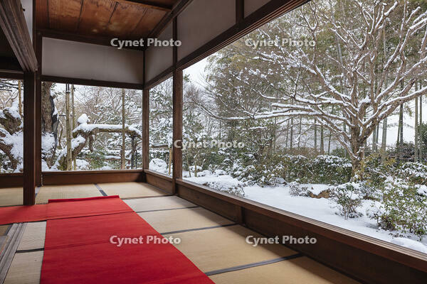 雪の宝泉院庭園　大原 [MOP110102103]