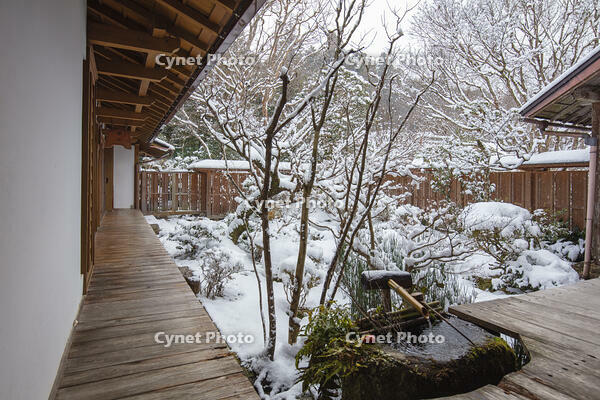 雪の宝泉院庭園　大原 [MOP110102104]