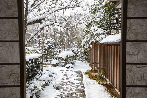 雪の宝泉院庭園　大原 [MOP110102105]
