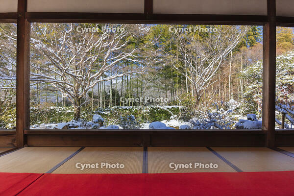 雪の宝泉院庭園　大原 [MOP110102106]