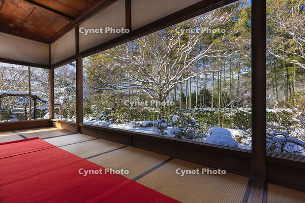雪の宝泉院庭園　大原 [MOP110102108]