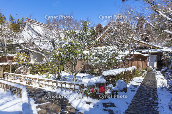 雪の宝泉院　大原 [MOP110102109]