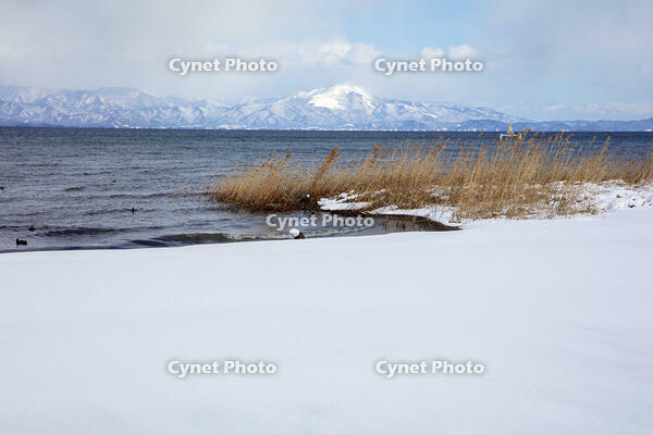 雪の琵琶湖　外ヶ浜より伊吹山 [MOP110102113]