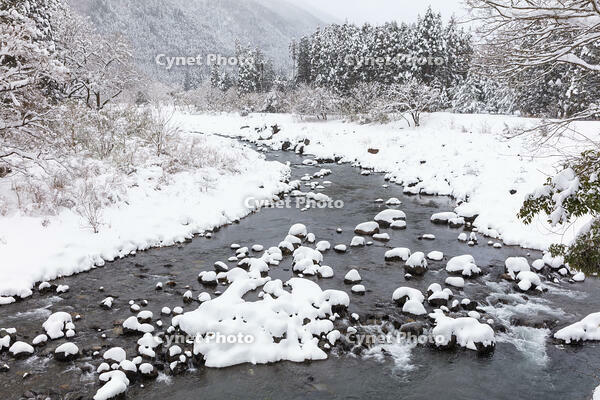 雪の安曇川 [MOP110102118]