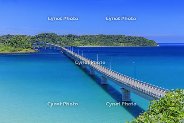 角島大橋と角島 [MOP110103312]