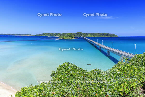 角島大橋と角島 [MOP110103313]