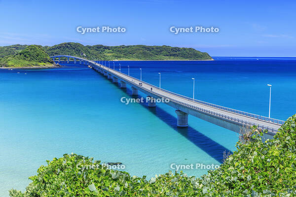 角島大橋と角島 [MOP110103314]