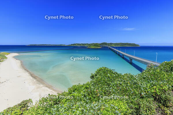 角島大橋と角島 [MOP110103315]