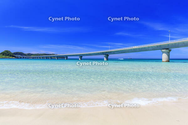 角島大橋と角島 [MOP110103321]