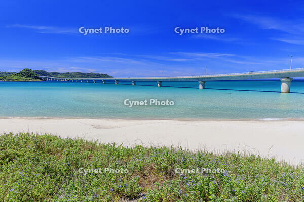 角島大橋と角島 [MOP110103323]