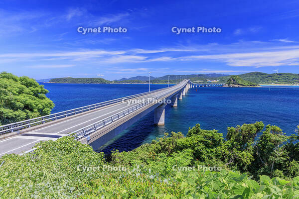 瀬崎陽の公園より角島大橋 [MOP110103324]