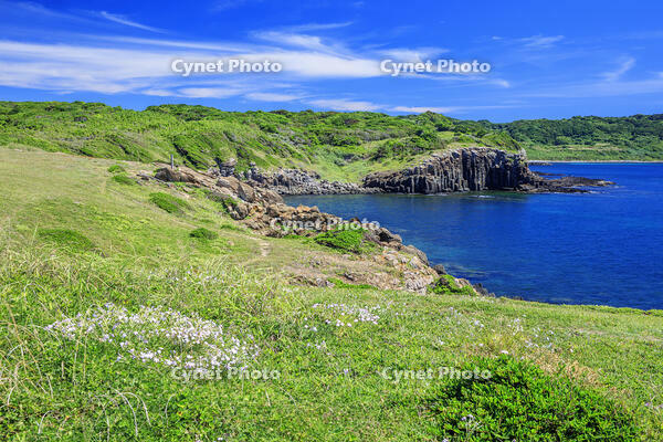 牧崎風の公園　角島 [MOP110103325]