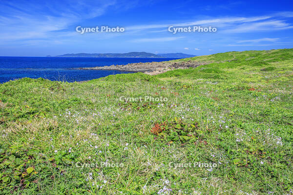 牧崎風の公園　角島 [MOP110103326]
