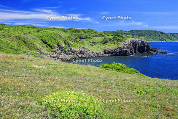 牧崎風の公園　角島 [MOP110103327]