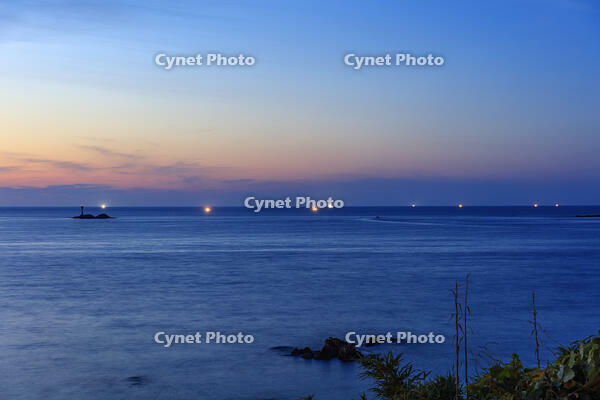  海士ヶ瀬公園より日本海と漁火夕景 [MOP110103333]