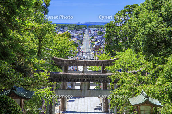 宮地嶽神社　参道 [MOP110103354]