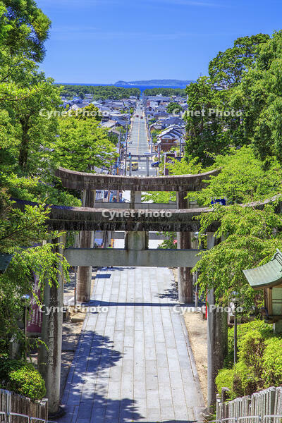 宮地嶽神社　参道 [MOP110103355]