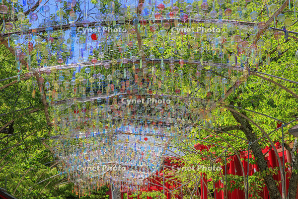 宮地嶽神社　風凛まつり [MOP110103359]