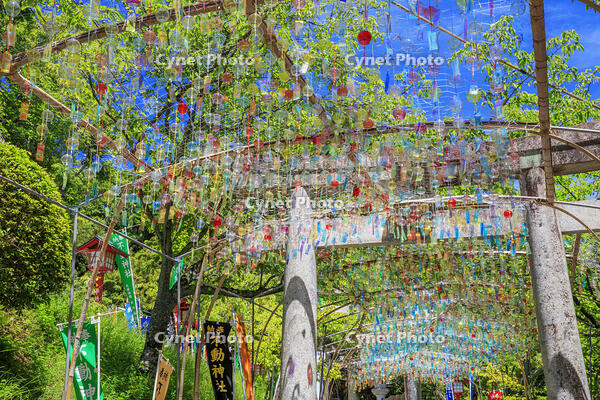 宮地嶽神社　風凛まつり [MOP110103360]