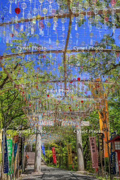 宮地嶽神社　風凛まつり [MOP110103361]