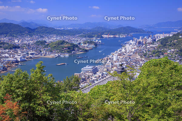 浄土寺山より尾道市街と尾道水道 [MOP110103381]