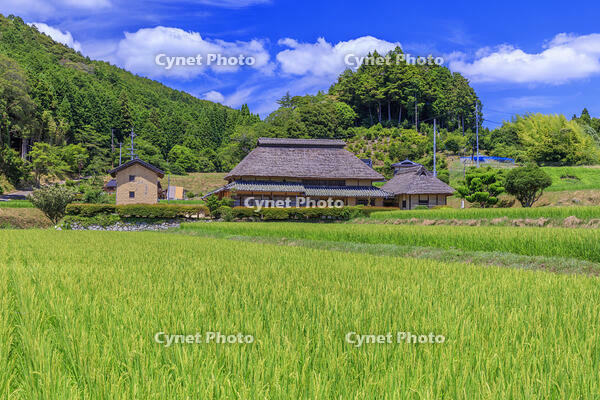 八塔寺ふるさと村 [MOP110103401]