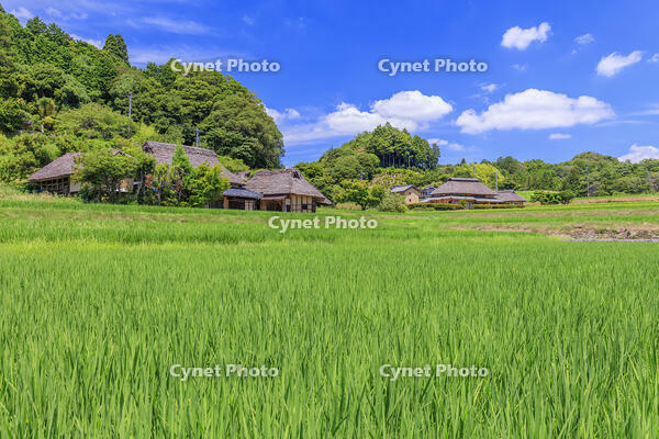 八塔寺ふるさと村 [MOP110103402]